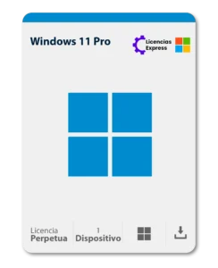 Windows 11 Professional