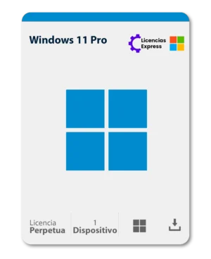 Windows 11 Professional